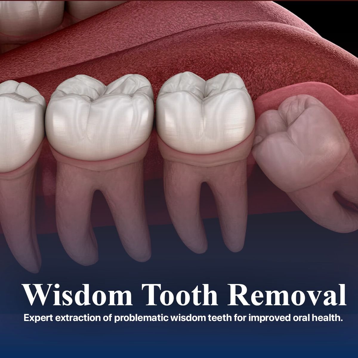 WhatsApp Image 2025-01-21 at 21.30.57