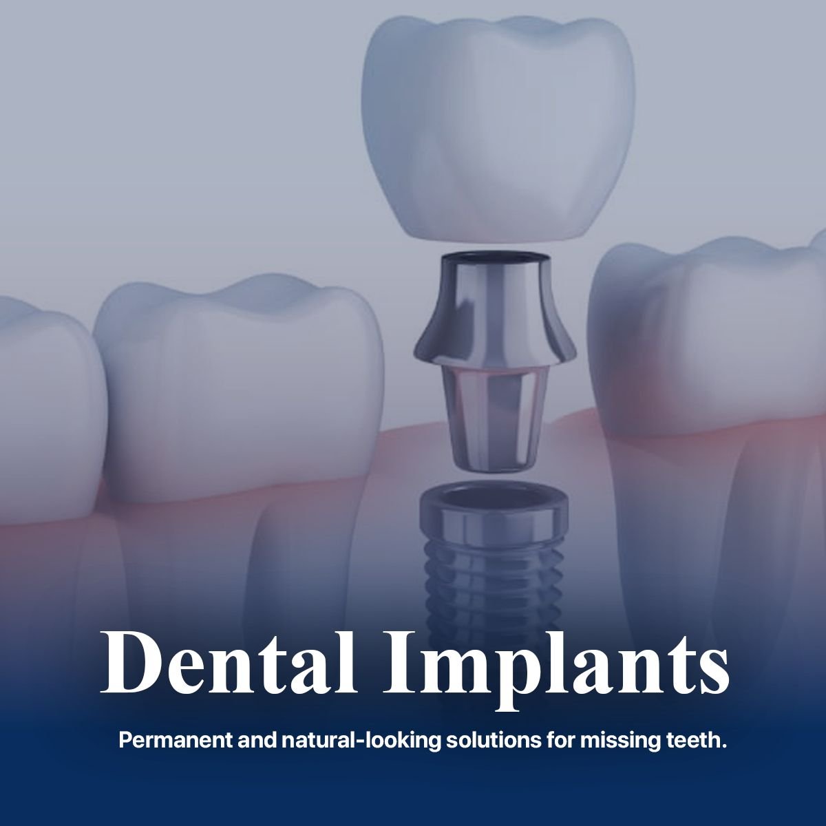 WhatsApp Image 2025-01-21 at 21.35.21